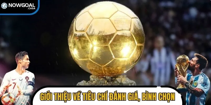 Giới thiệu về tiêu chí đánh giá và quy trình bình chọn